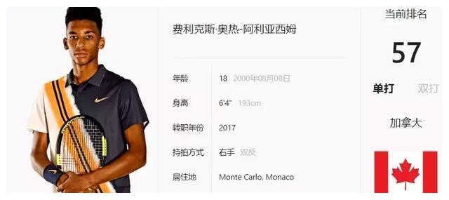 迷的关注 迷的关注